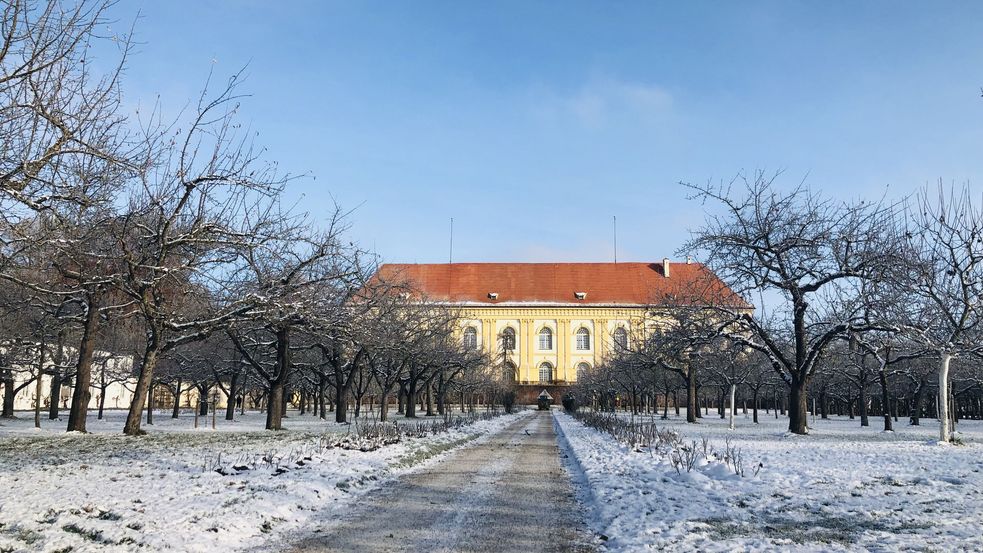 Schloss Dachau und Hofgarten bei Schnee und klarem Himmel