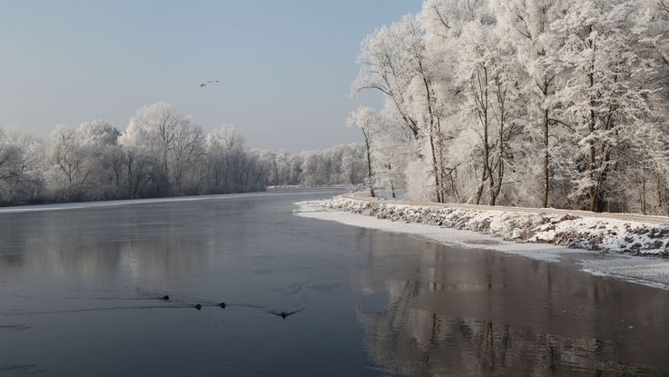 Amper bei Dachau im Winter, es liegt Schnee und die Bäum, die das Ufer säumen sind weiß.